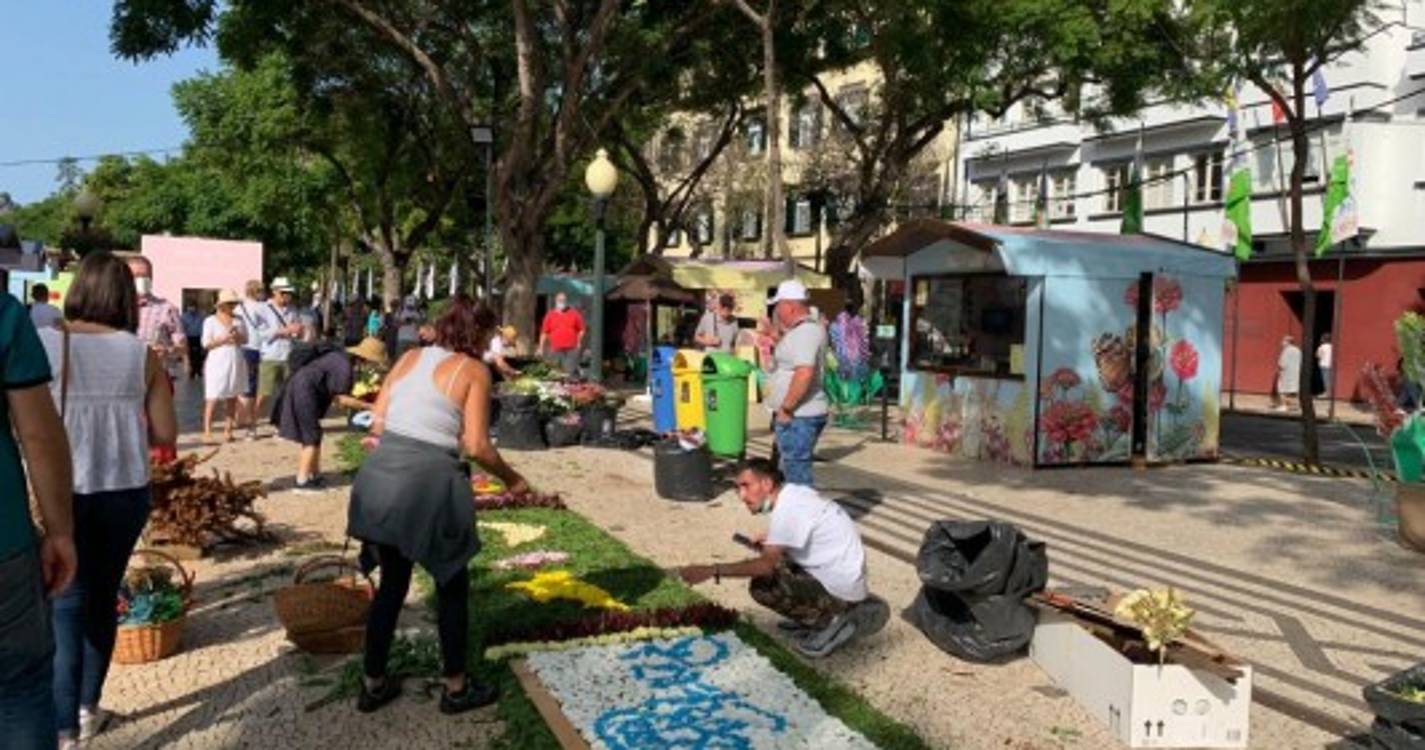 Avenida Arriaga transformada numa palete de cores que não deixa ninguém indiferente (com fotos)