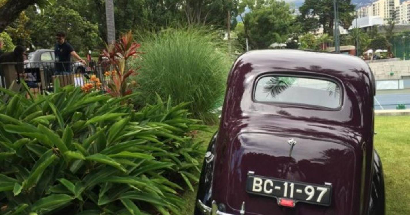 Veja as fotos da exposição 'Clássicos na Magnólia'