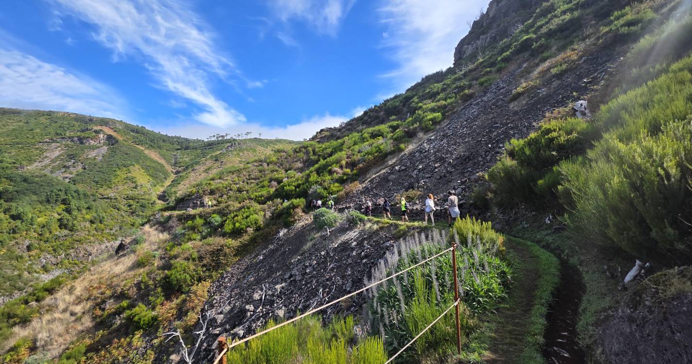 Associação do Caminho Real da Madeira promove formação sobre segurança e primeiros socorros em percursos pedestres