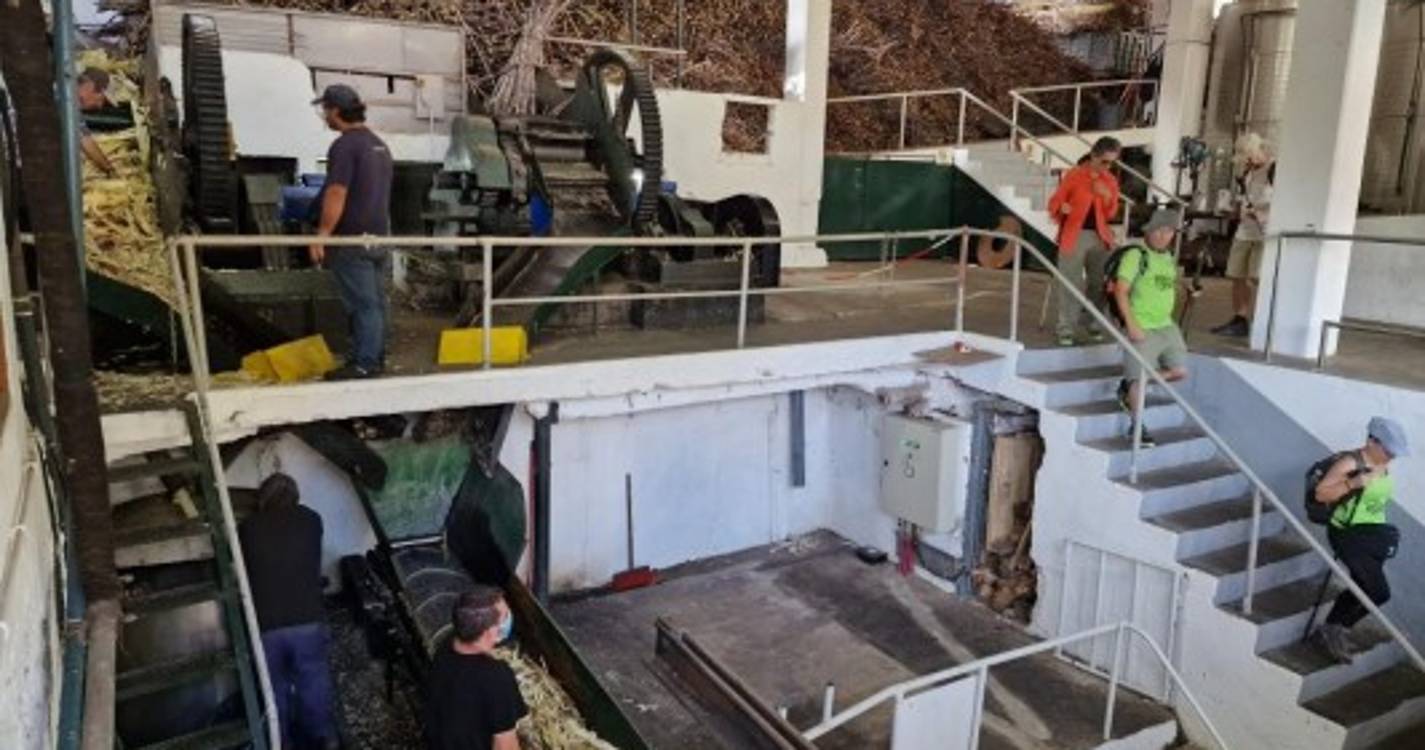 Segundo dia de Caminho Real 23 vivido com boa-disposição, veja como foi