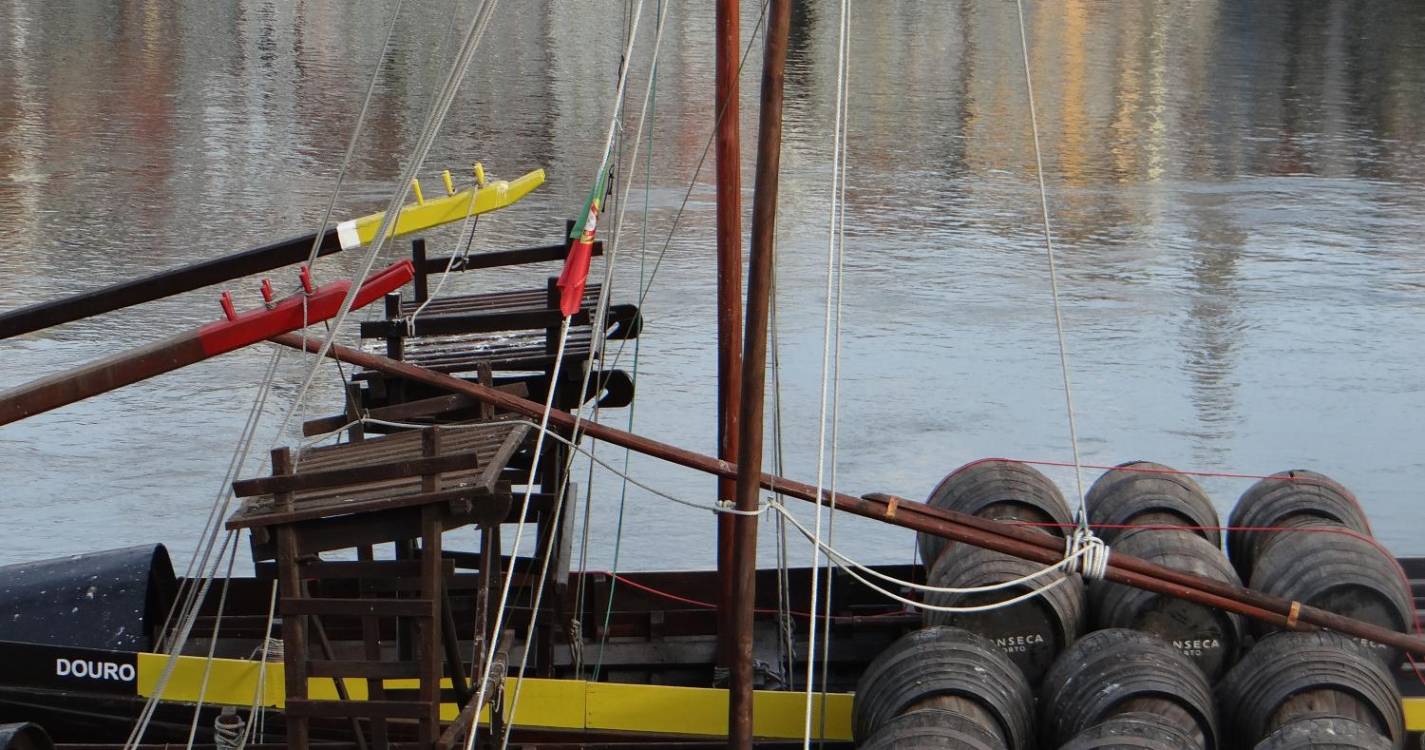 Artista plástica madeirense inaugura exposição no Porto