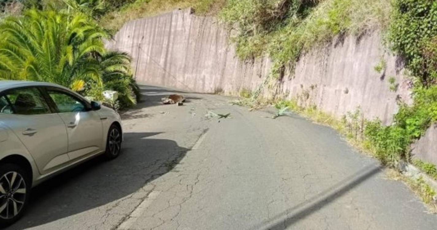Derrocada atingiu viatura na Fajã das Galinhas (com fotos)