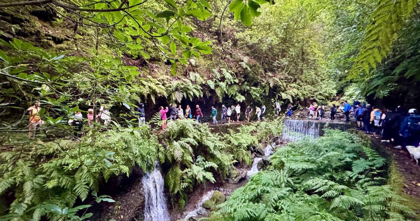 São Vicente assinala Dia Mundial da Atividade Física
