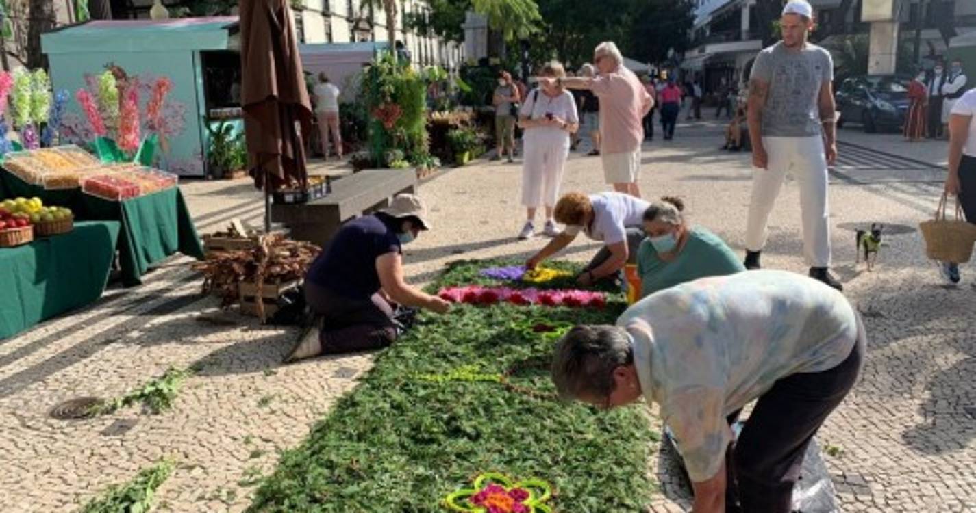 Avenida Arriaga transformada numa palete de cores que não deixa ninguém indiferente (com fotos)