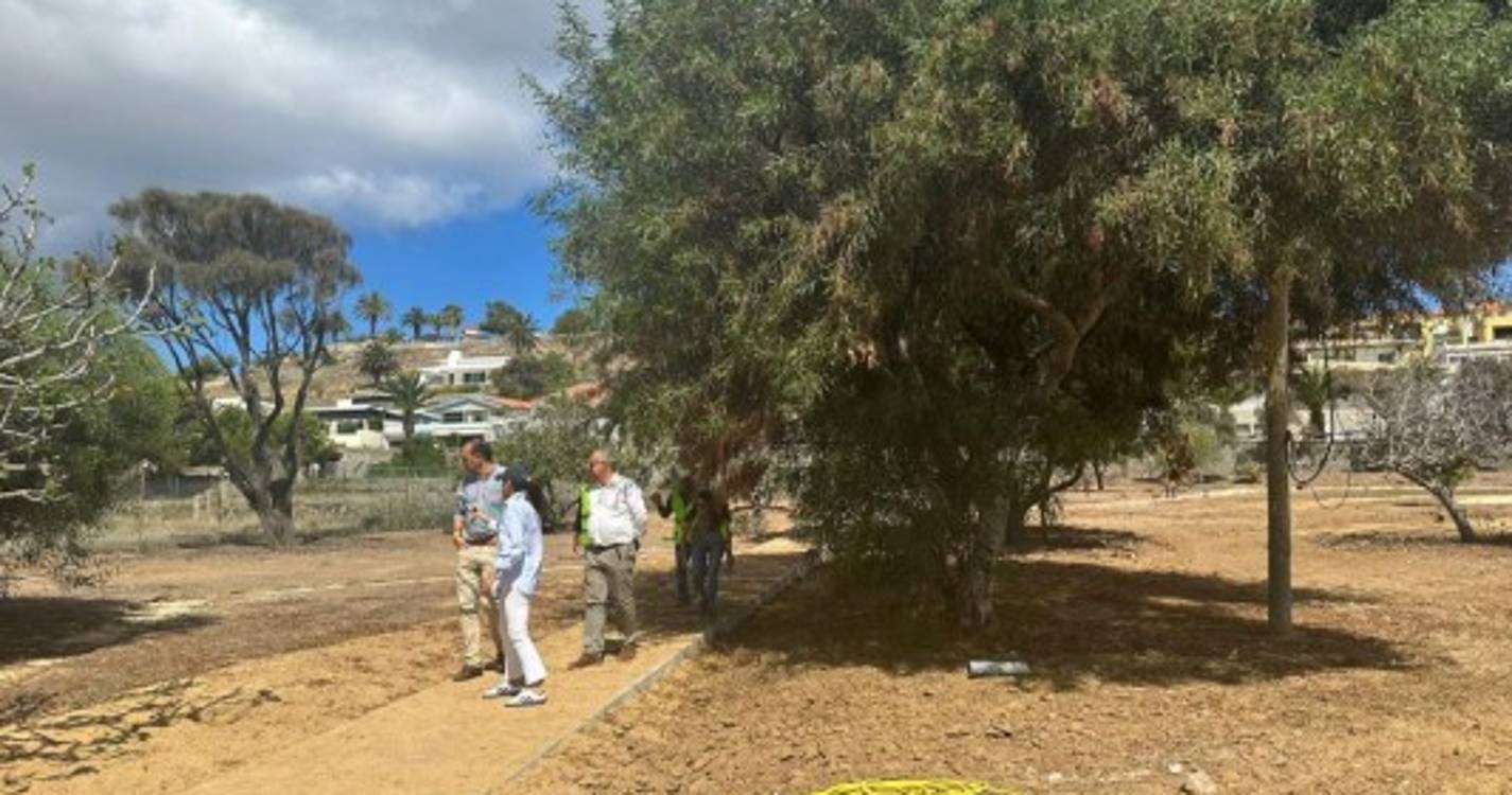 Parque Urbano do Porto Santo pronto no final de julho
