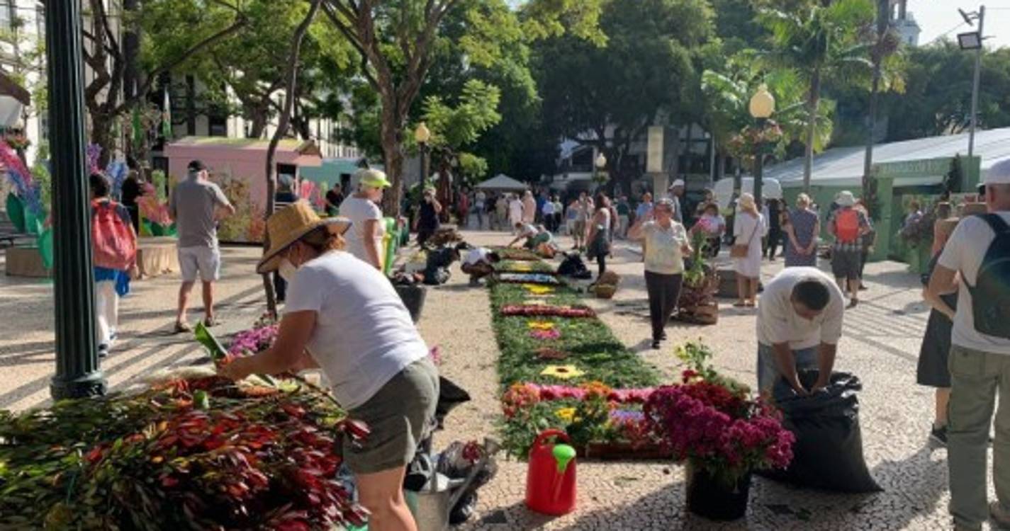 Avenida Arriaga transformada numa palete de cores que não deixa ninguém indiferente (com fotos)