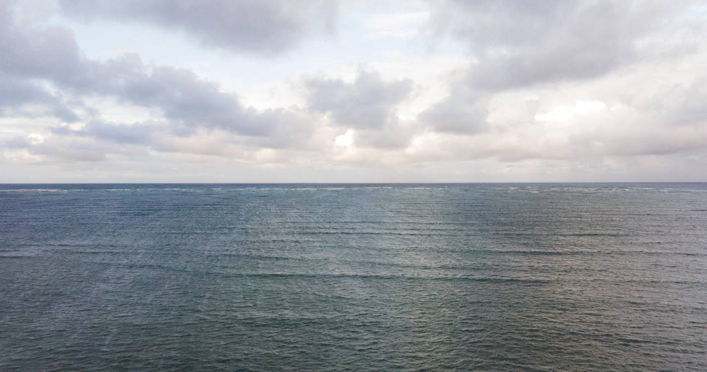 Tratado do Alto Mar é “marco histórico” para o oceano - UICN