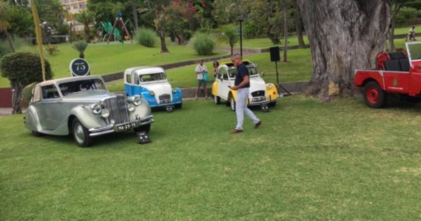 Veja as fotos da exposição 'Clássicos na Magnólia'