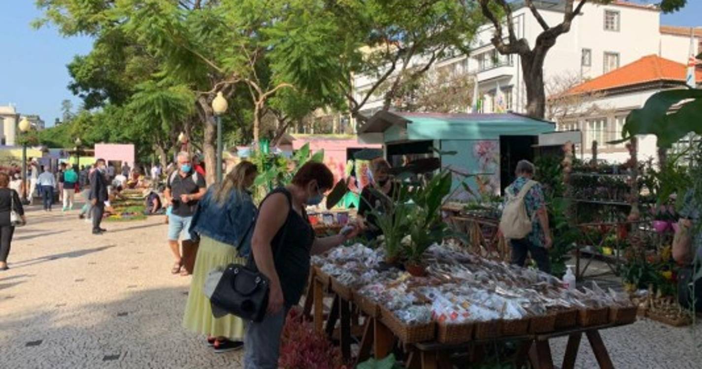 Avenida Arriaga transformada numa palete de cores que não deixa ninguém indiferente (com fotos)