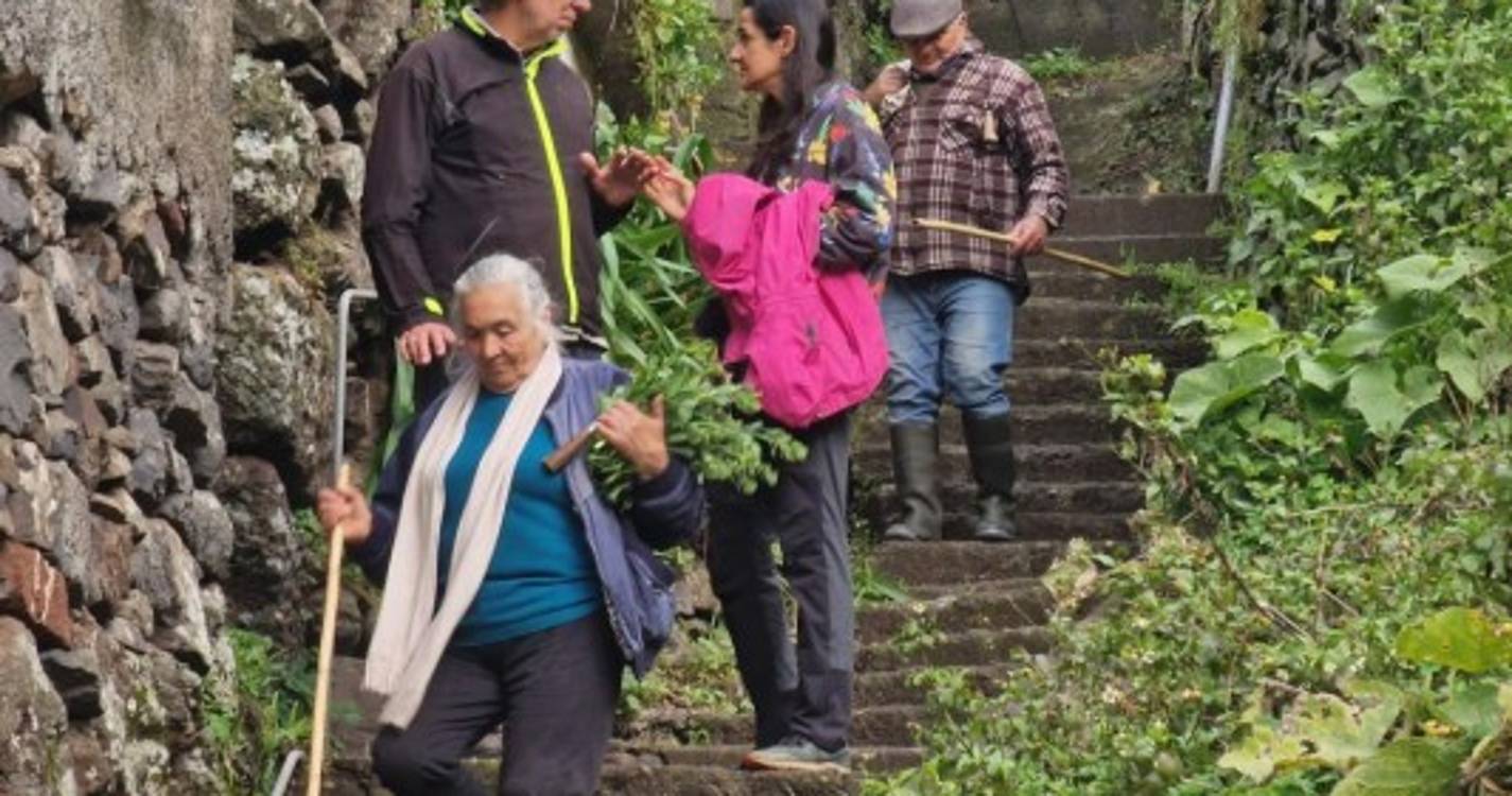 Associação do Caminho Real da Madeira celebra 6.º aniversário com caminhada (com fotos)