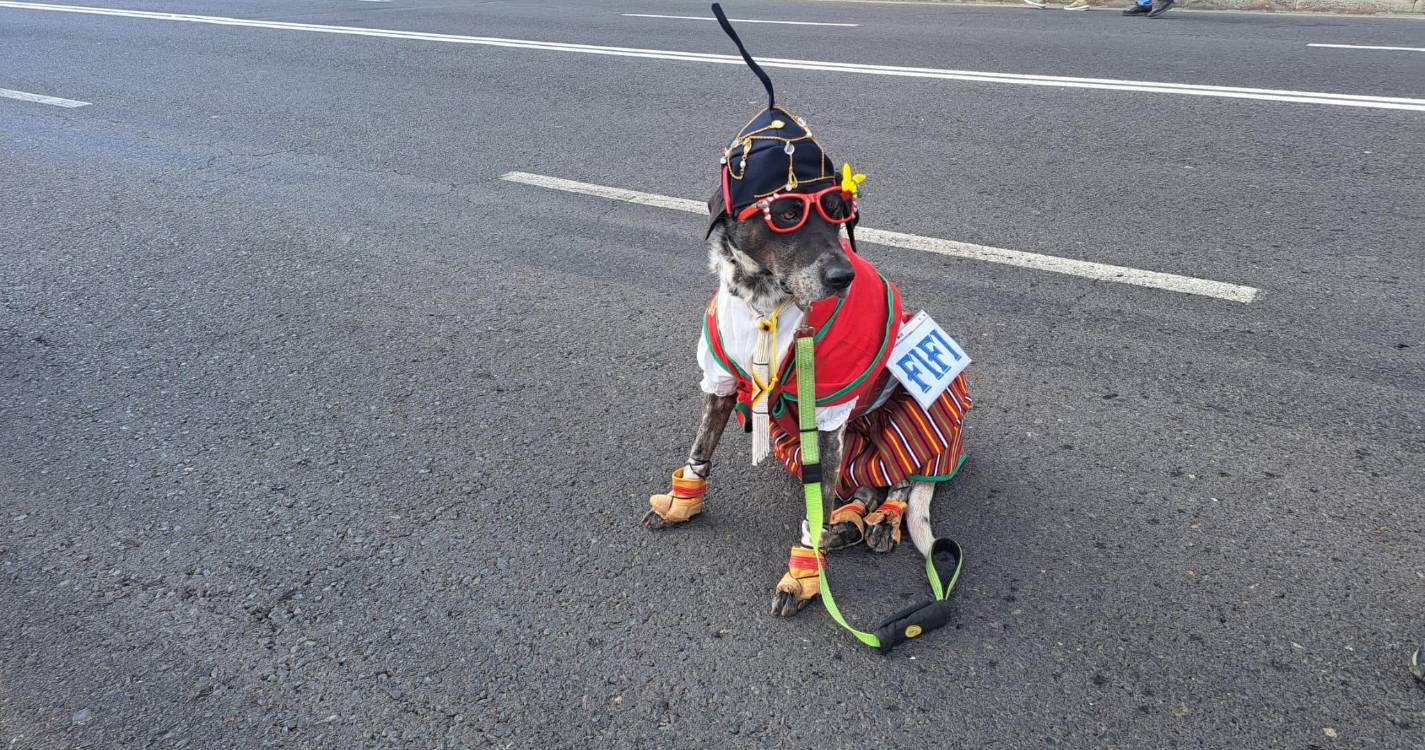 Donald Trump, malas furtadas e autocarro da ‘Rodapeste’ desfilam no Trapalhão. Veja as imagens