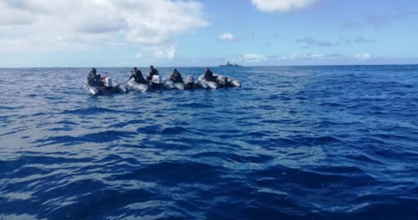 Homenagem na Selvagem (em) Grande