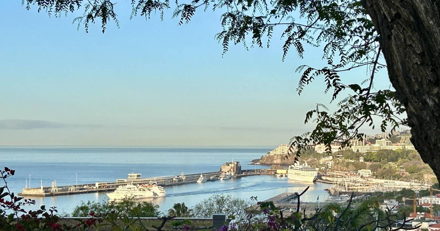 Cruzeiro Sirena passa o dia no Funchal juntamente com cinco mega-iates