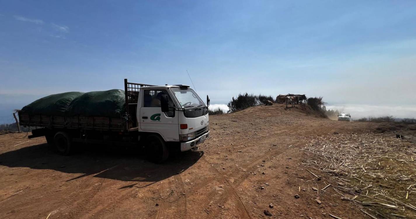 Governo distribui cinco toneladas de feno na Trompica