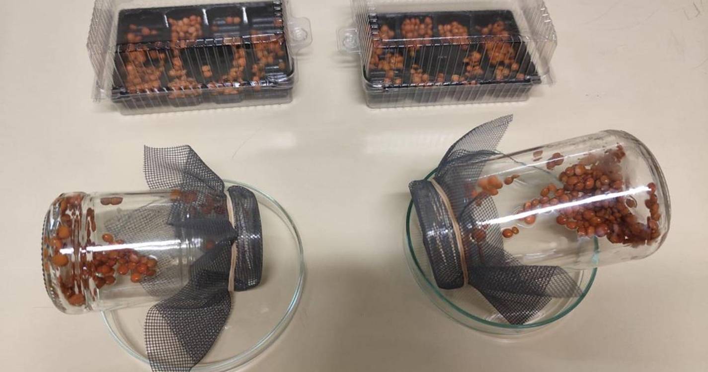 ‘Semear Saúde, Colher Sorrisos’ já passou por 10 mil alunos