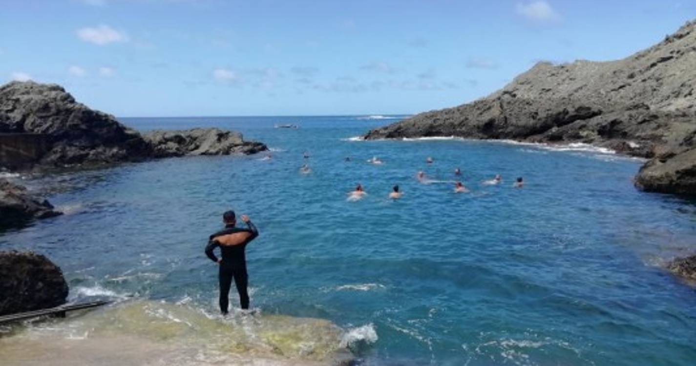 Homenagem na Selvagem (em) Grande