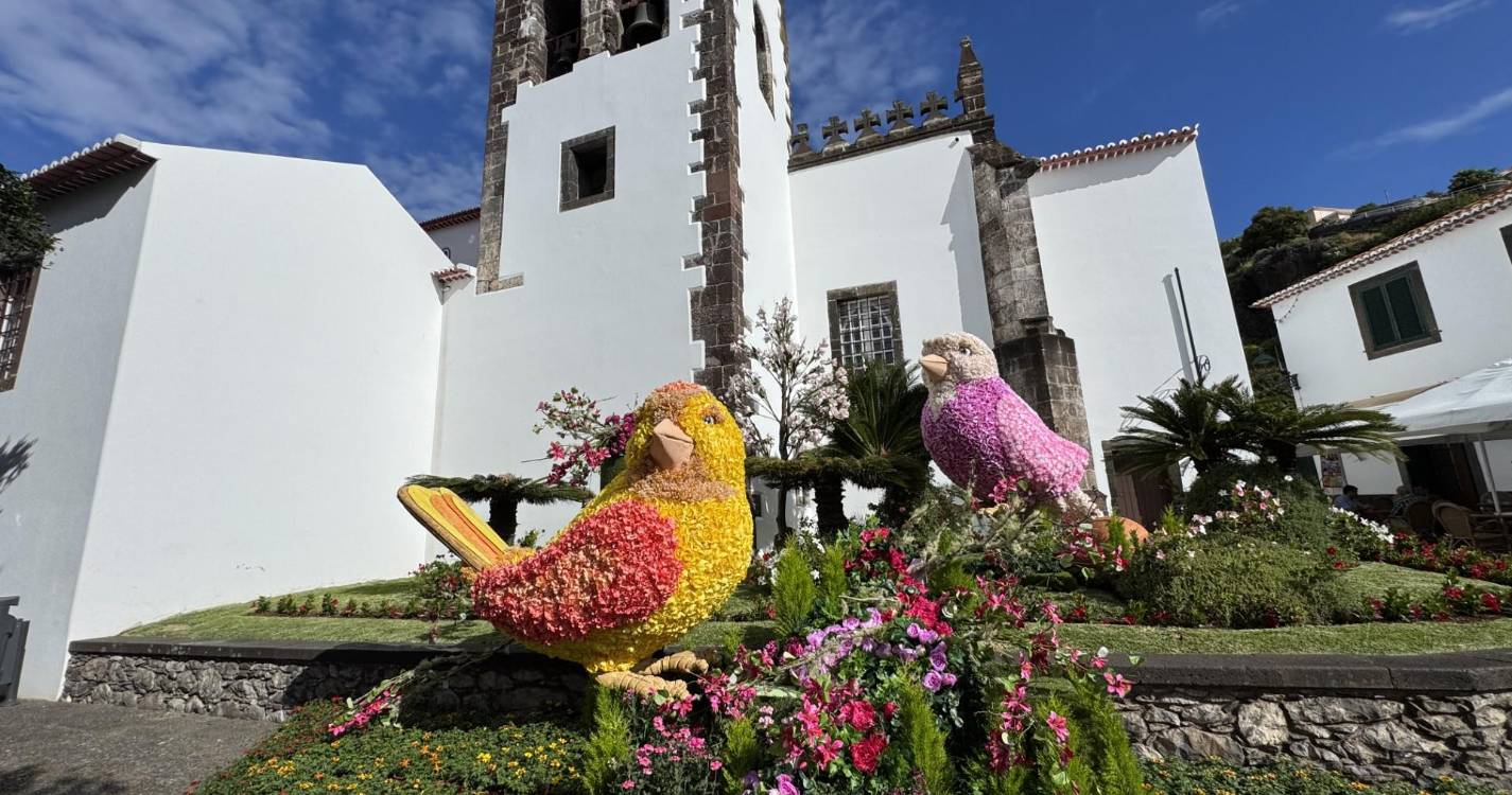 ‘Santa Cruz em Flor’ teve início