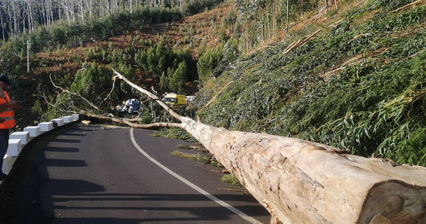 Condições meteorológicas provocaram 16 ocorrências esta noite
