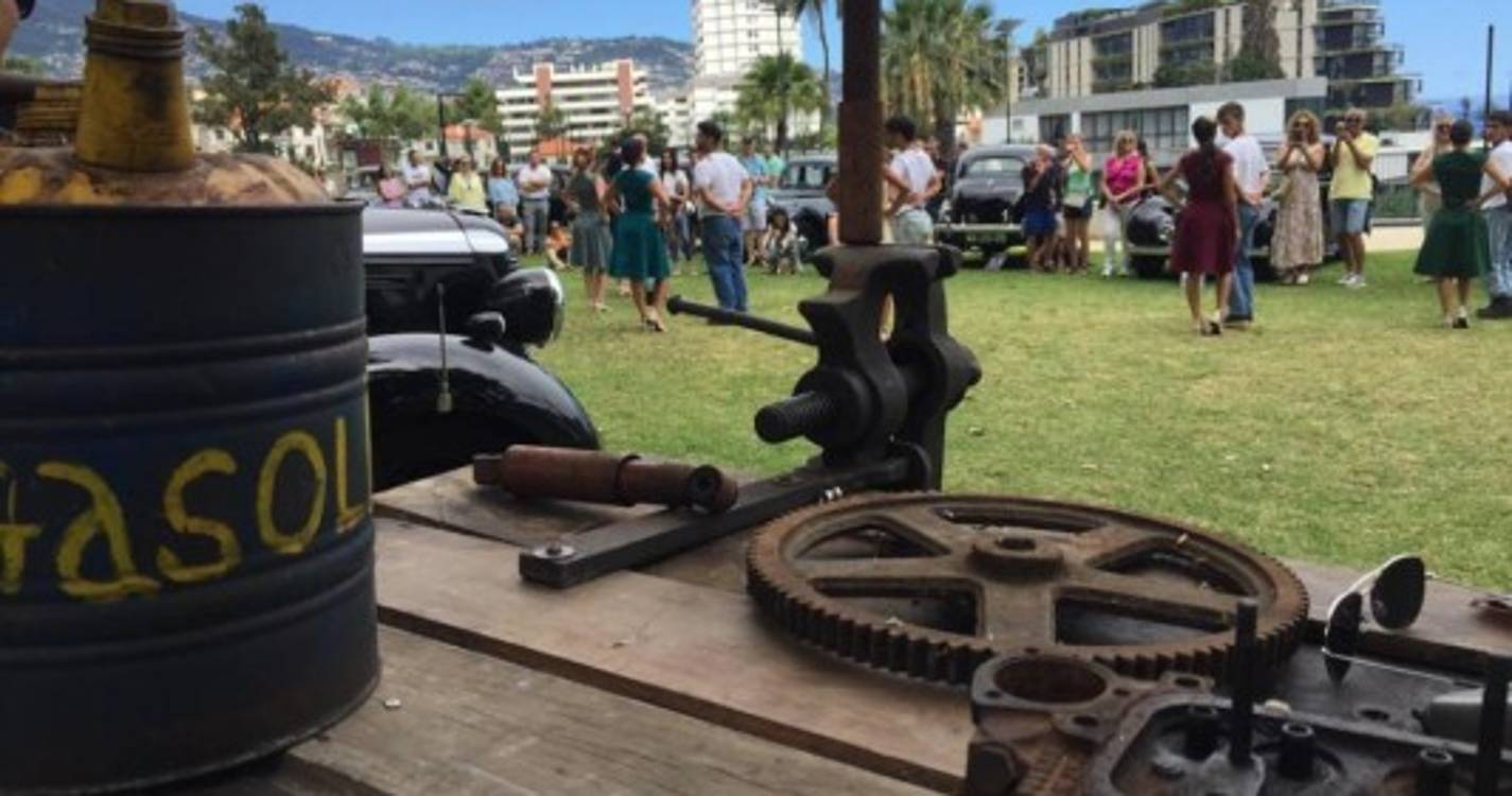 Veja as fotos da exposição 'Clássicos na Magnólia'