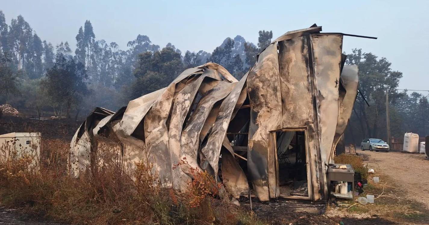 Incêndios: Produção agrícola na Lousã destruída, proprietários pedem ajuda