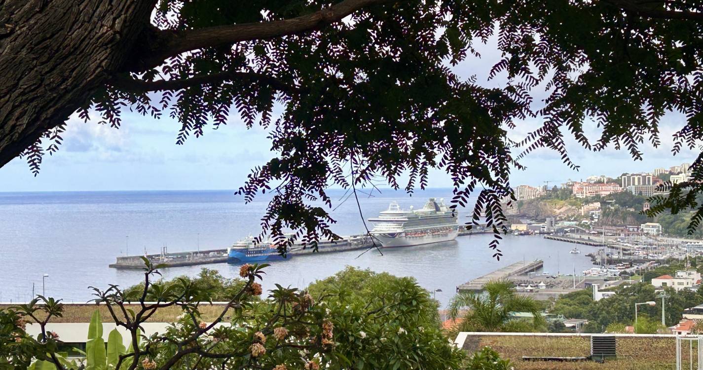 Ventura trouxe 3.420 novos turistas ao Funchal esta quarta-feira