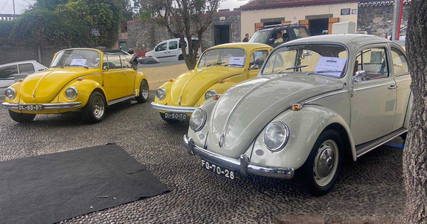 Veja os automóveis que animam o 1.º São Roque Classic Show