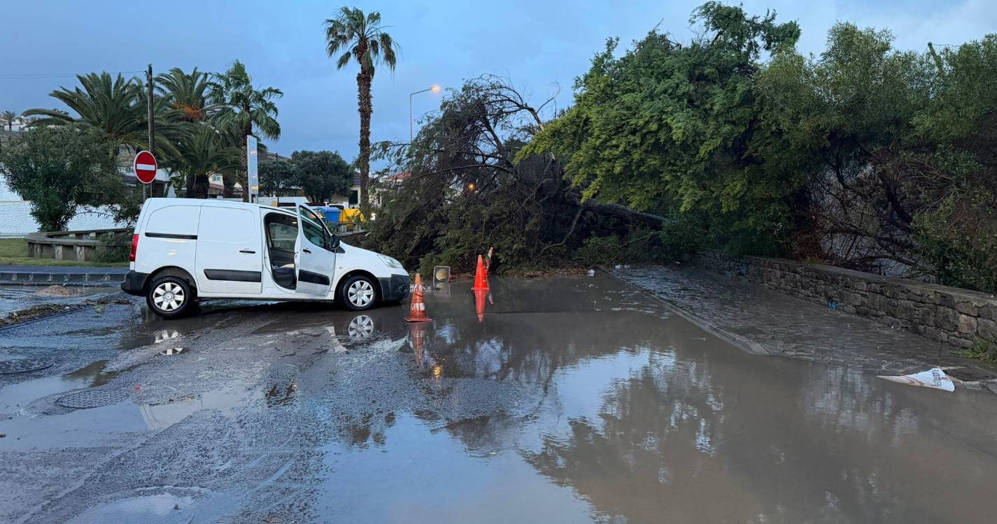 Depressão Therese provoca quase uma centena de ocorrências na Madeira