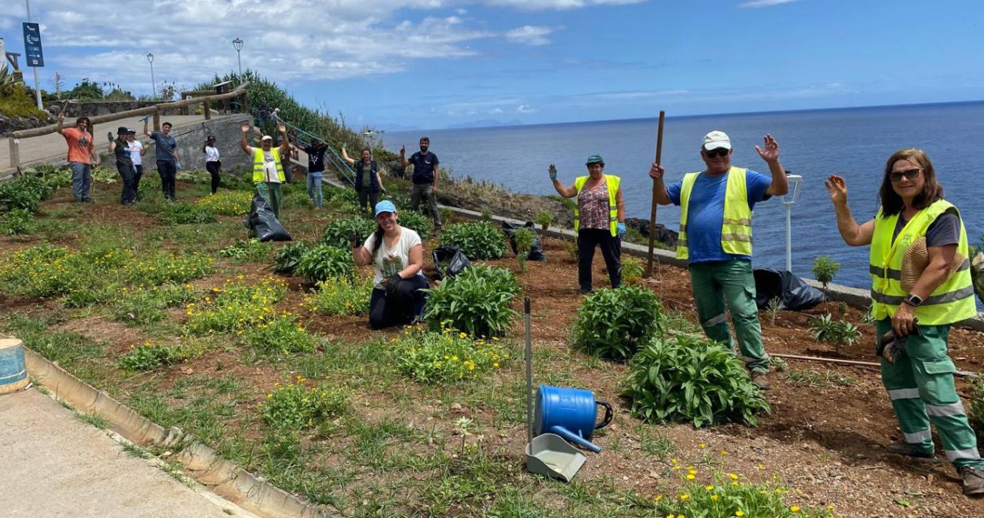 Mais de 50 voluntários já ajudaram a dar nova vida ao Jardim da Ponta da Oliveira