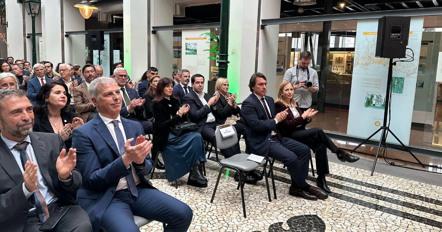 Pedro Fino sai do Governo por “vontade própria” e pelo que se passou no ano passado