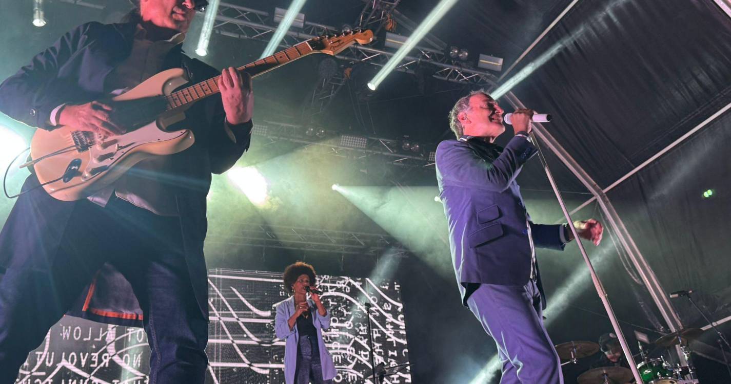 Delfins enchem baixa de Santa Cruz