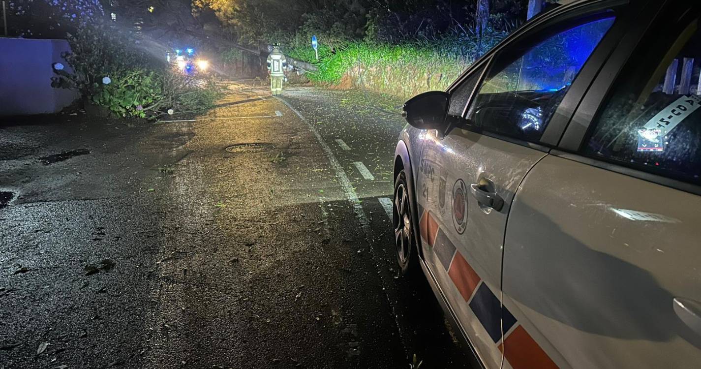 Depressão “Therese” provoca várias ocorrências em Santa Cruz