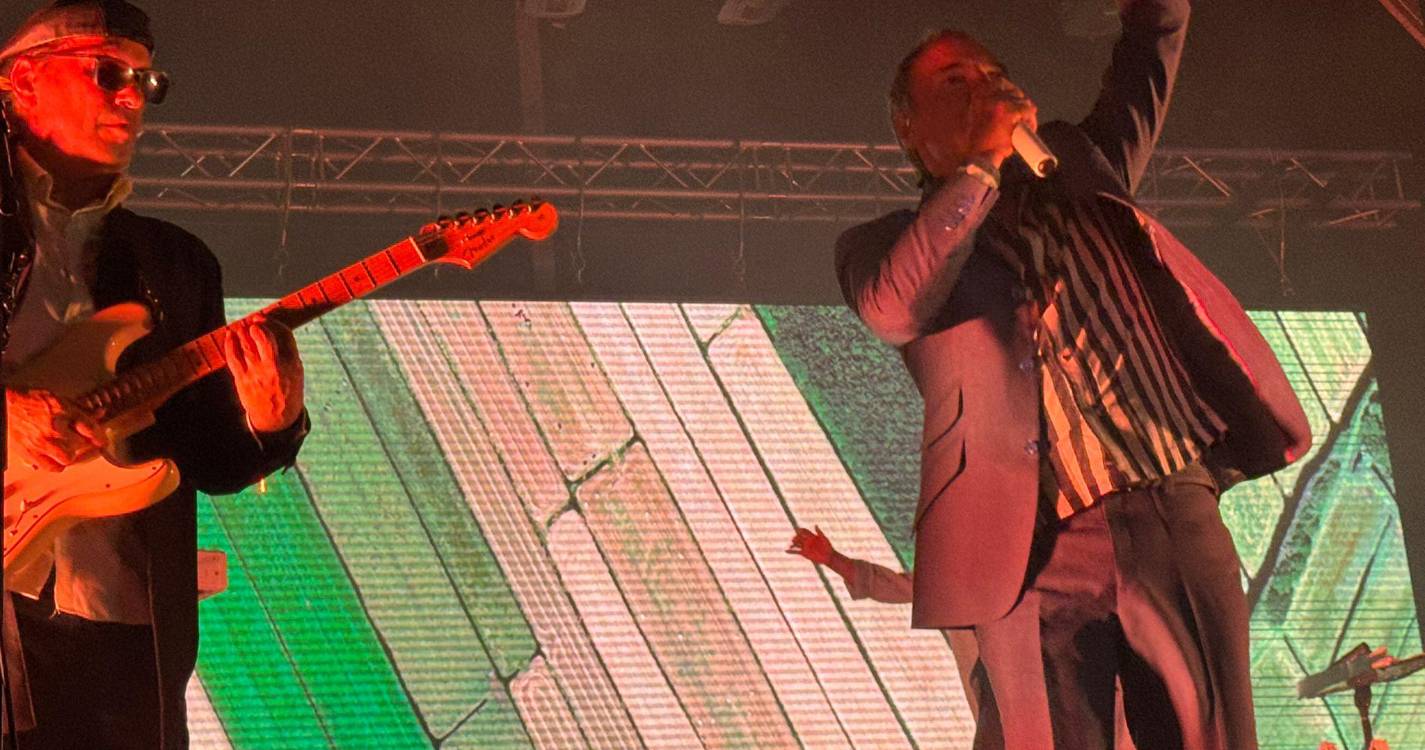 Delfins enchem baixa de Santa Cruz