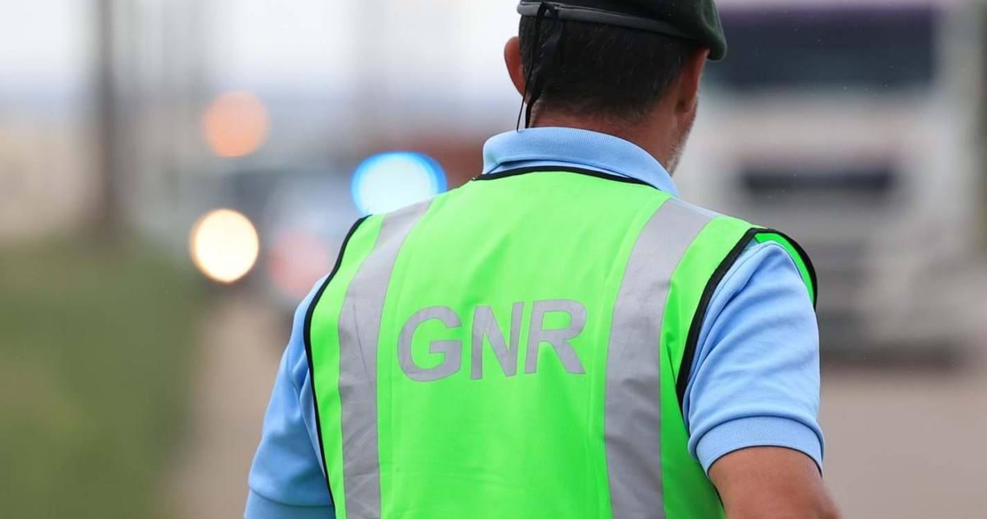 GNR encerrou lar ilegal em Oliveira de Azeméis e constituiu arguido casal por maus tratos