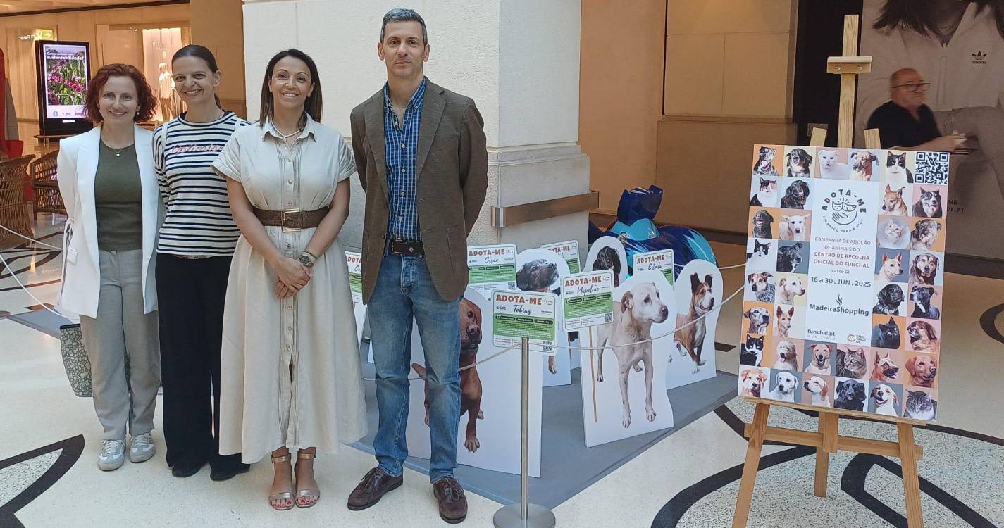 Funchal promove 4.ª campanha de adoção de animais