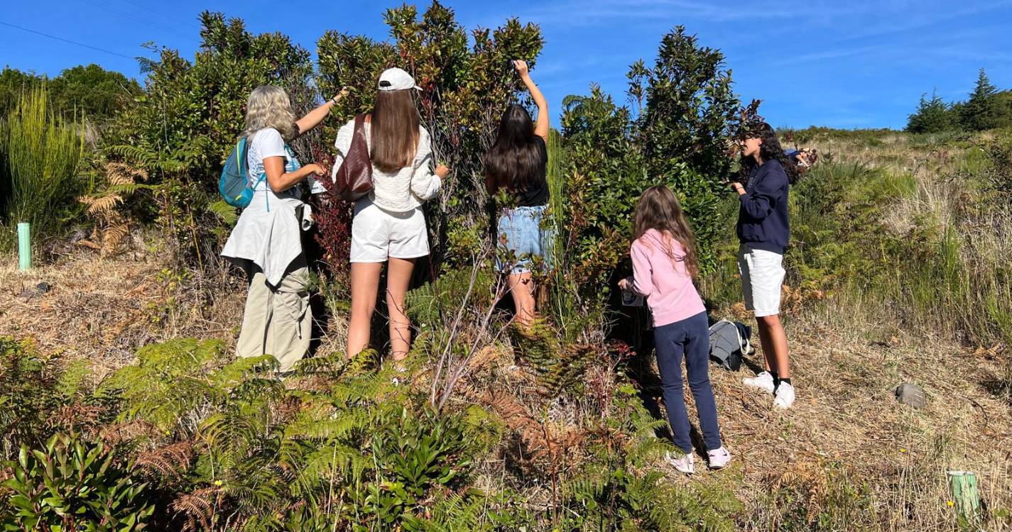 Semana da Alimentação do Funchal regista afluência de 5 mil pessoas