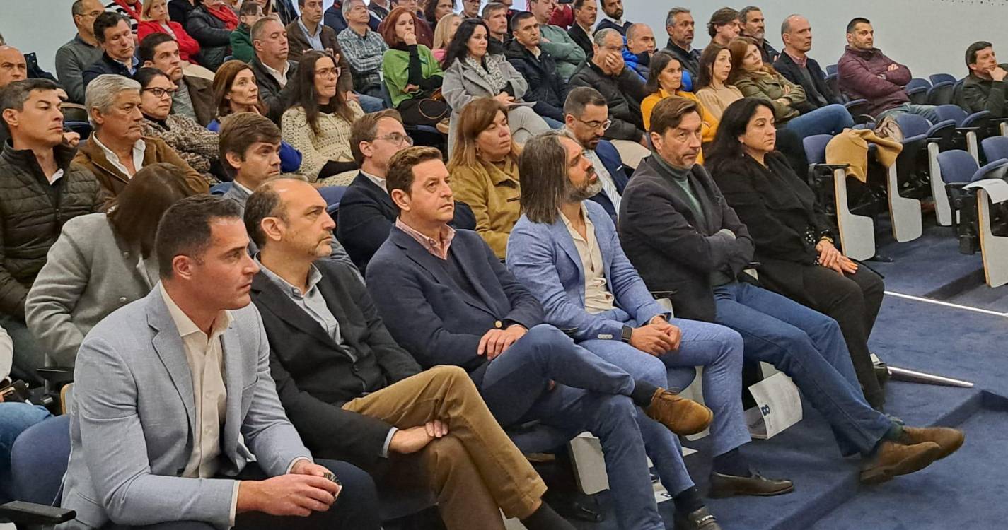 Rafaela Fernandes diz que há 13.200 matrizes georeferenciadas nos cinco concelhos que não tinham cadastro