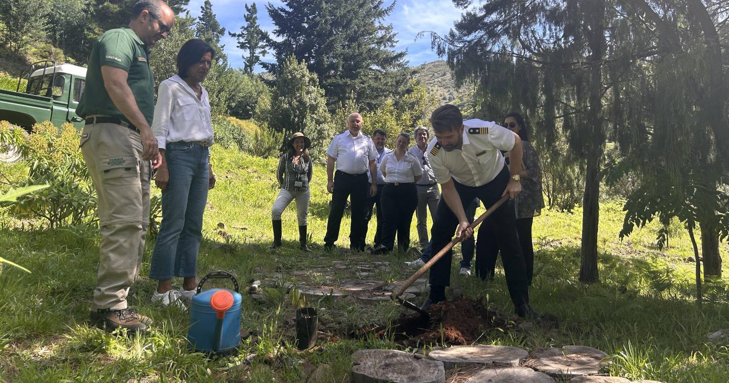APRAM e AIDA Cruises juntam-se para ação de reflorestação no Parque Ecológico do Funchal