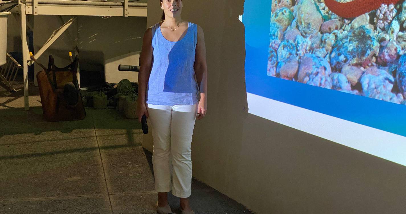 Mundo das estrelas-do-mar atraiu gente de todas as idades