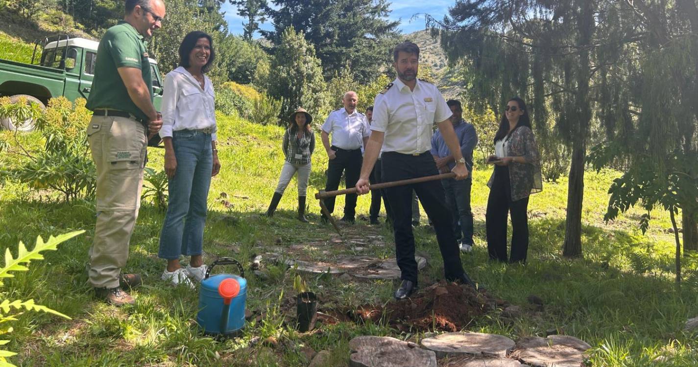 APRAM e AIDA Cruises plantaram 15 árvores no Parque Ecológico do Funchal