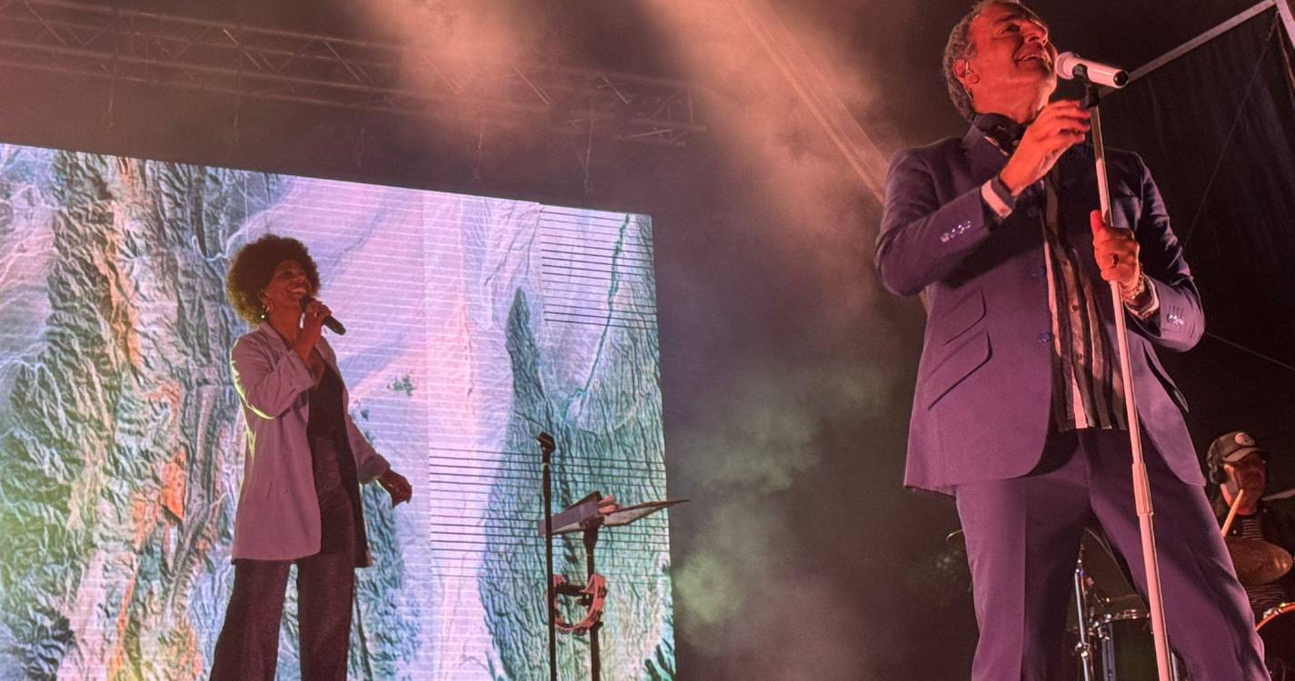 Delfins enchem baixa de Santa Cruz