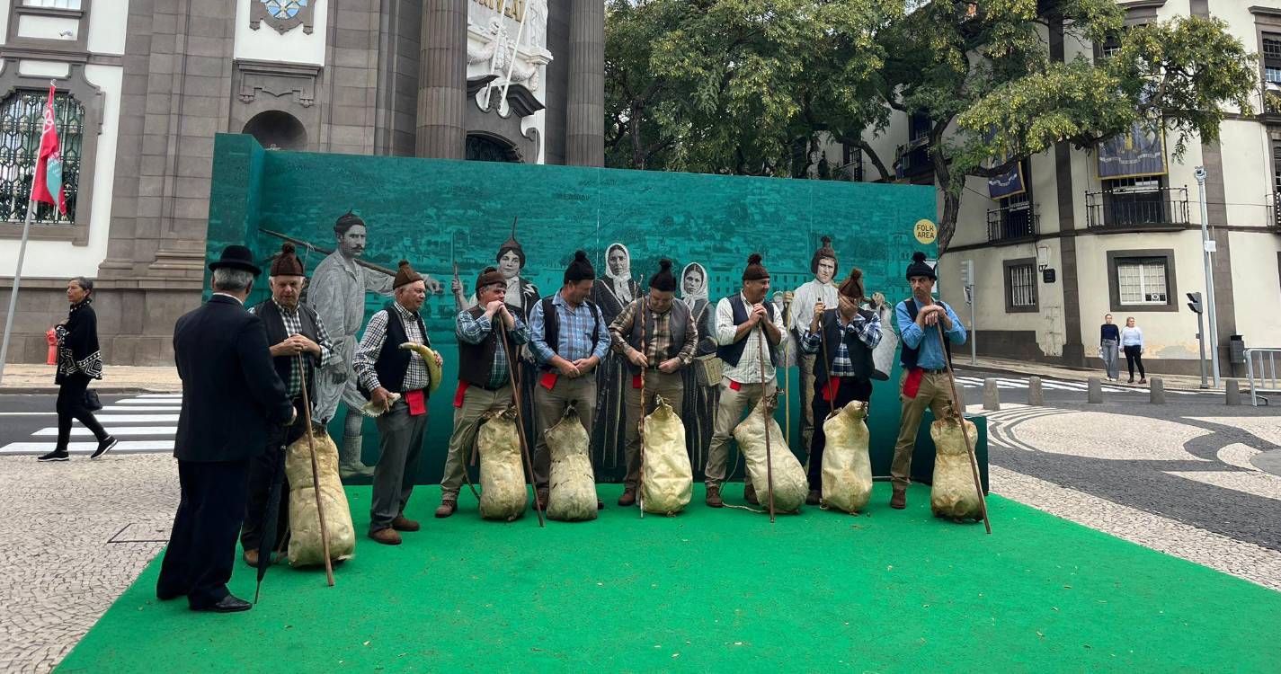 Despertar lento na Avenida Arriaga no dia a seguir ao Natal (com fotos)