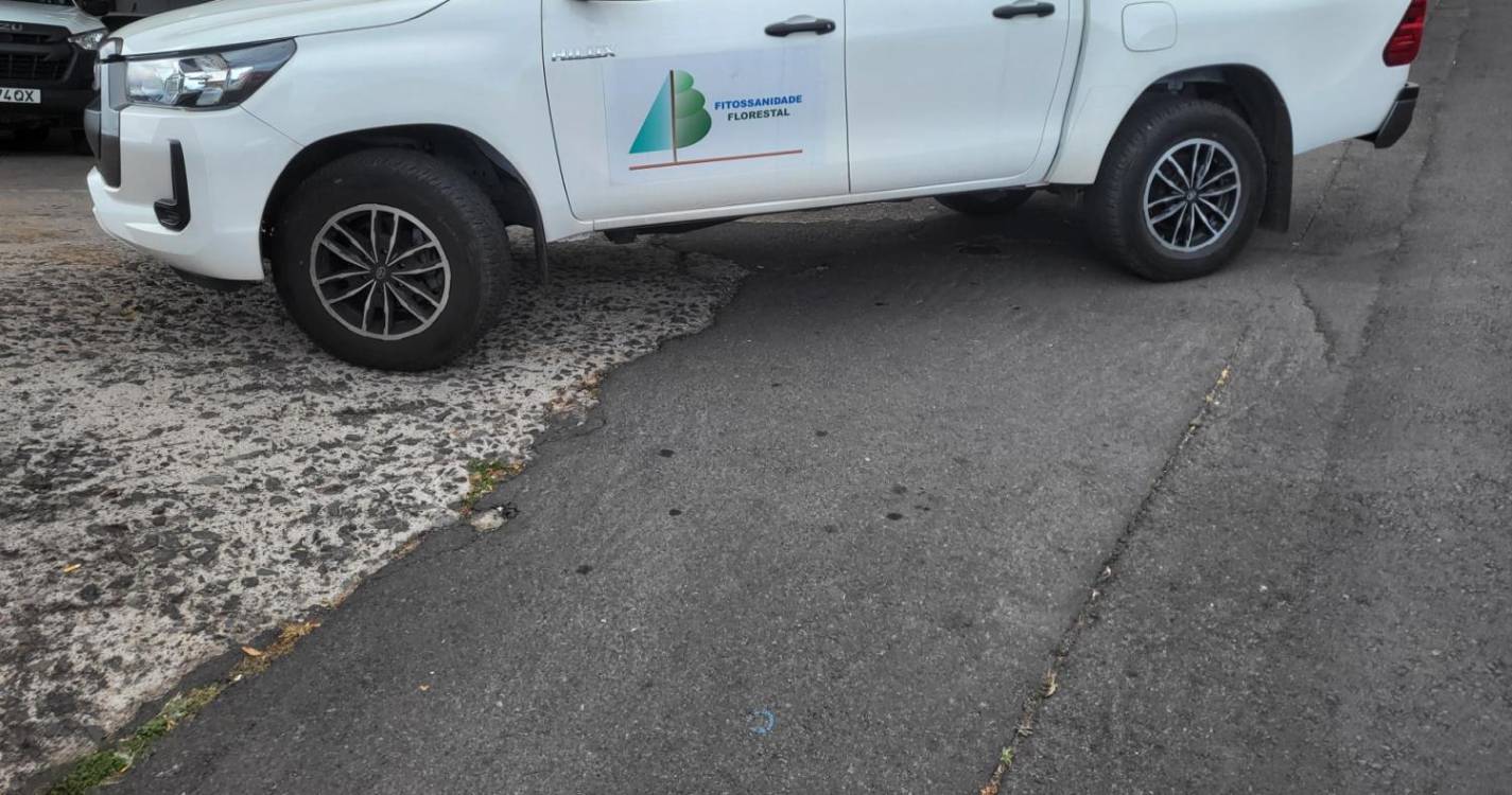 IFCN aposta na capacitação para projeto associado à Fitossanidade