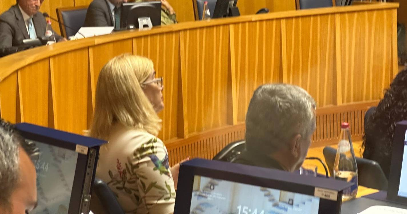 Porto do Caniçal estuda possibilidade de navios de maior porte poderem atracar