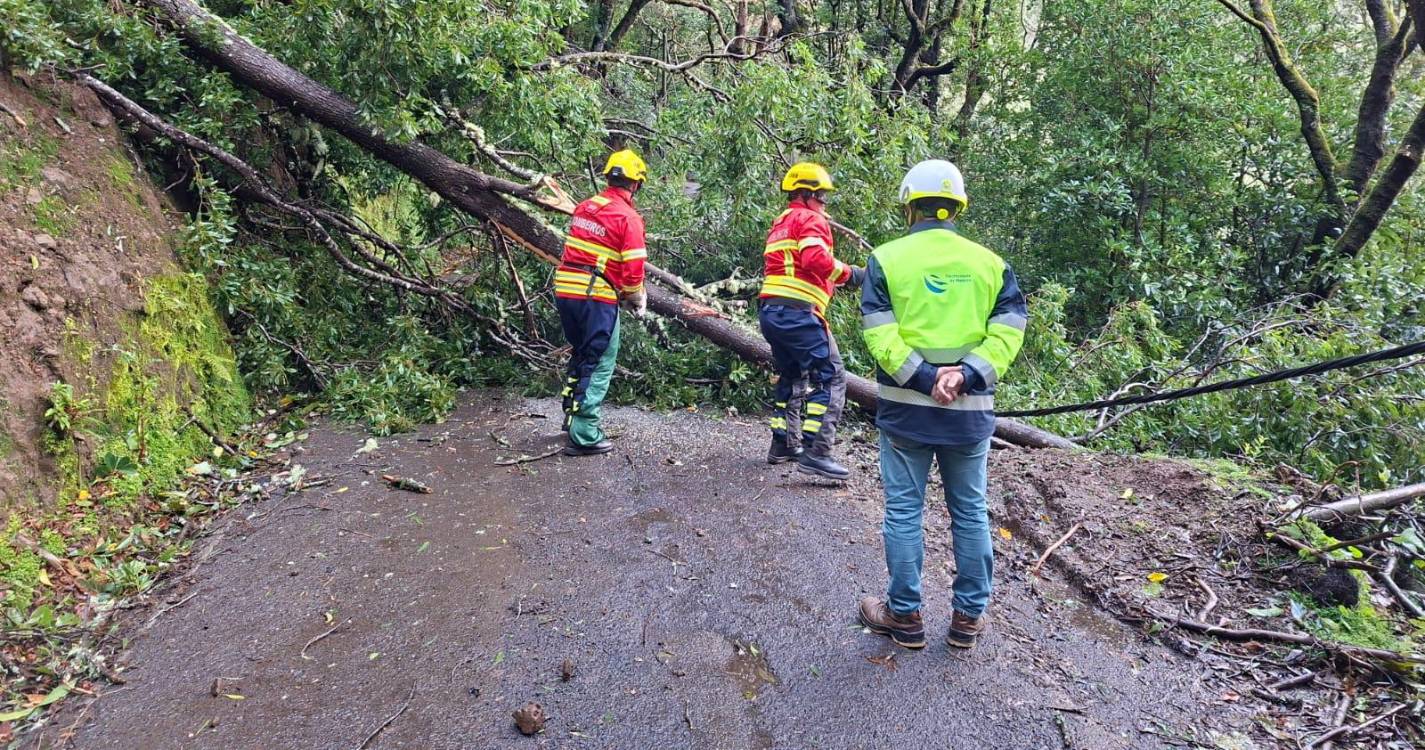 Rajadas de 114 km/hora no Caniçal no dia 1 de janeiro