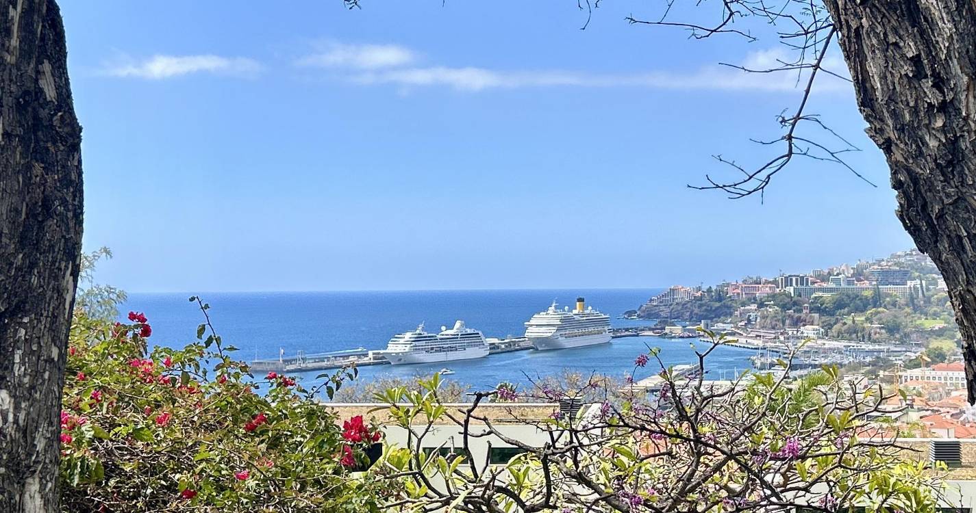 Porto do Funchal está a receber dois navios de cruzeiro