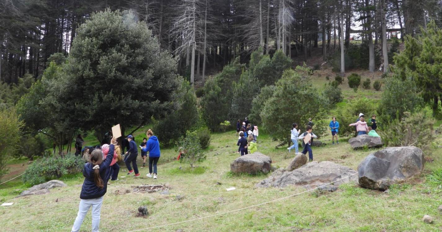 526 alunos da Região assinalaram Semana da Árvore e da Floresta