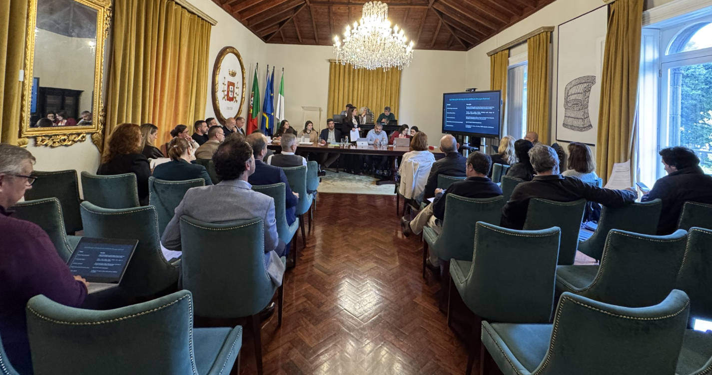 Élia Ascensão: “Vemos que um ponto percentual separa o elogio da tragédia”