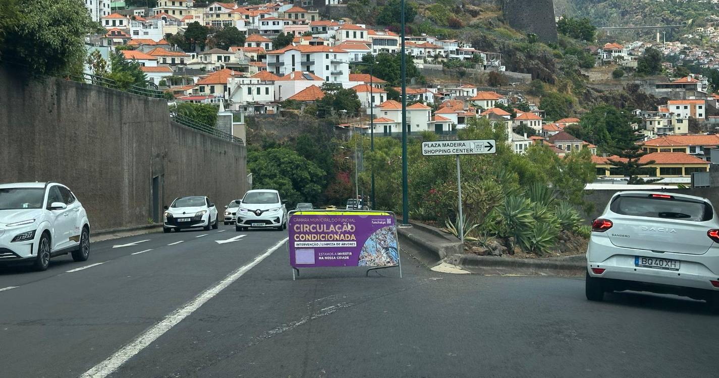 Cota 40 fechada devido a corte de árvores