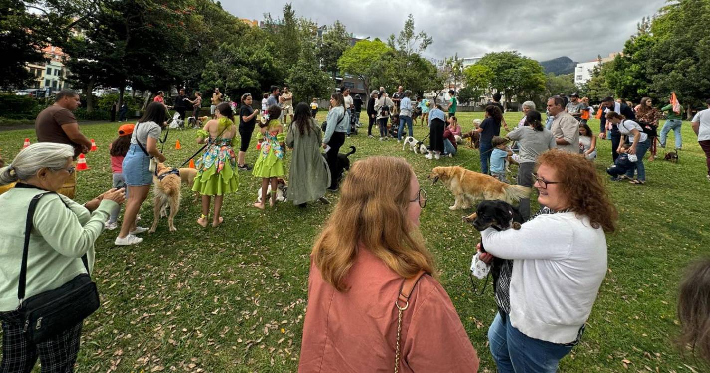 Imaculado quer ser exemplo no cuidado e proteção aos animais