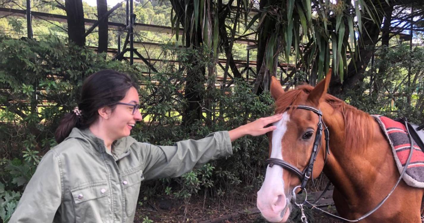 Associação Hípica da Madeira recebe alunos da Unidade de Ensino Especializado da Gonçalves Zarco (com fotos)
